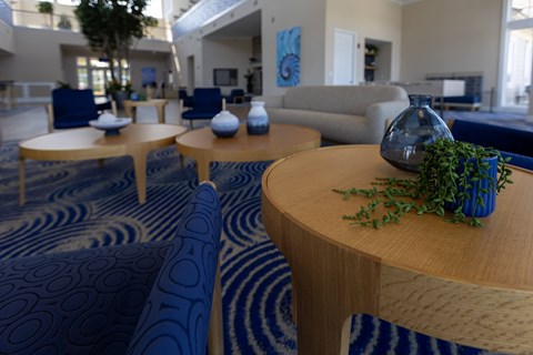 A blue and white patterned carpet covers the floor of a modern living room.
