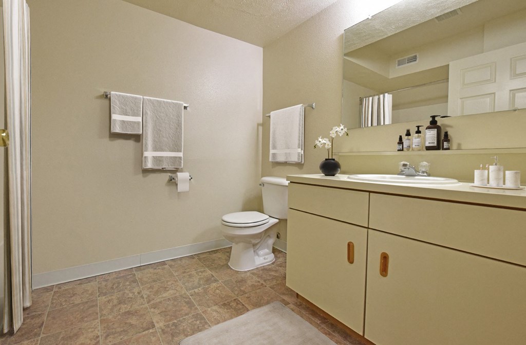 Bathroom at Heatherwood Apartments, Grand Blanc