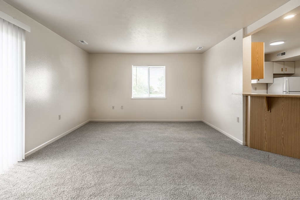 A large, empty room with a window and a carpeted floor