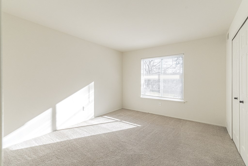 A room with a carpeted floor and a window letting in sunlight.