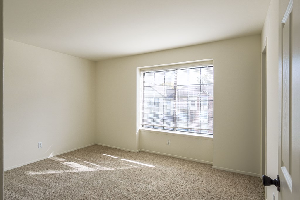 A room with a carpeted floor and a window letting in sunlight.