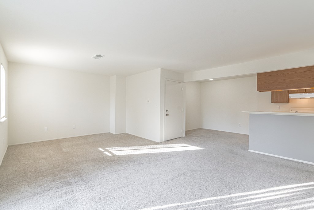 A large, empty room with a carpeted floor and white walls.