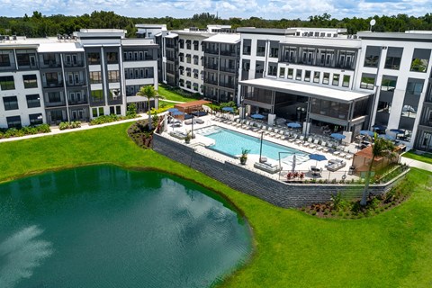 A large swimming pool is surrounded by a grassy area and a wall with lounge chairs at Ironwood Flats Apartments, Brandon, FL, 33511