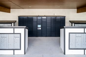 A black Amazon storage unit is in the middle of a room with two white storage units on the sides at Ironwood Flats Apartments, Brandon, Florida