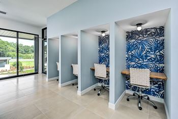A room with blue walls and a patterned wallpaper at Ironwood Flats Apartments, Brandon, Florida