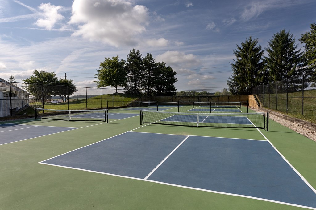A tennis court with a net and trees in the background.