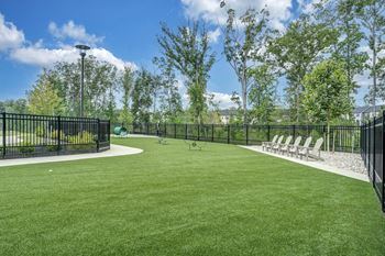 A black fenced area with a green lawn and trees in the background.