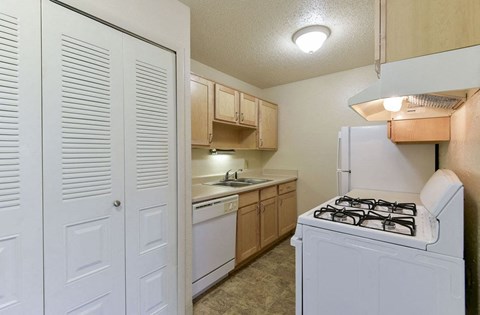 Kitchen with Dishwasher at Old Monterey Apartments in Springfield, MO