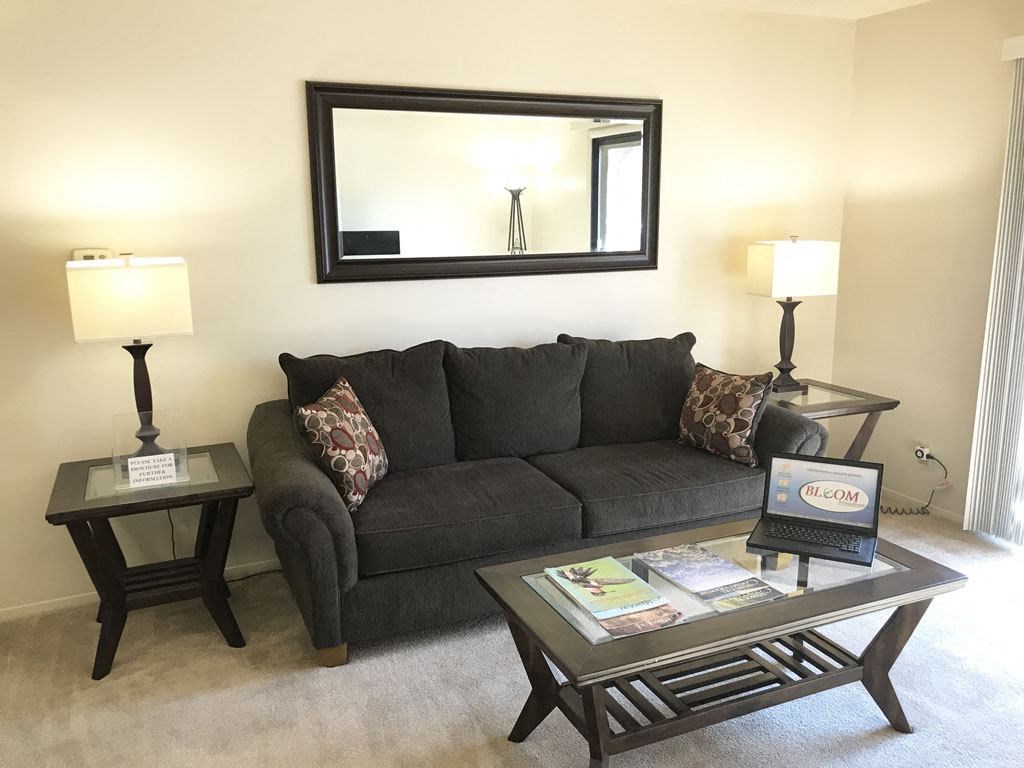 Plush Carpeting Throughout Living Area at Old Monterey Apartments, Missouri, 65807