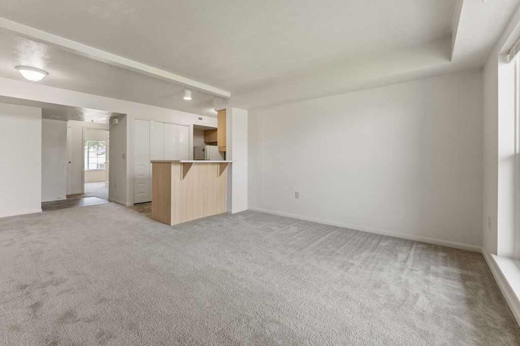 living room with plush carpeting at Hunters Pond Apartment Homes, Champaign, IL