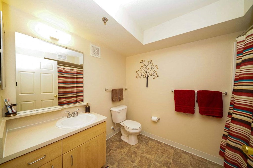 Large Bathroom at Hunters Pond Apartment Homes, Champaign, IL