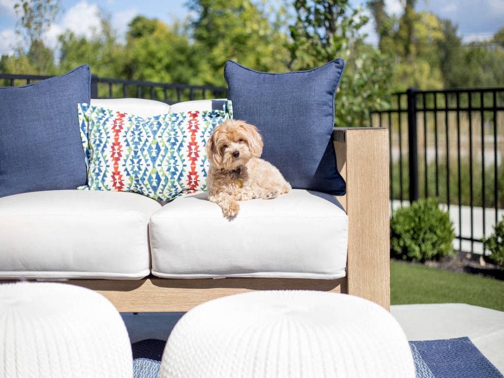 a dog sitting on a couch in a backyard  at Avant & Avant II, Carmel, 46032