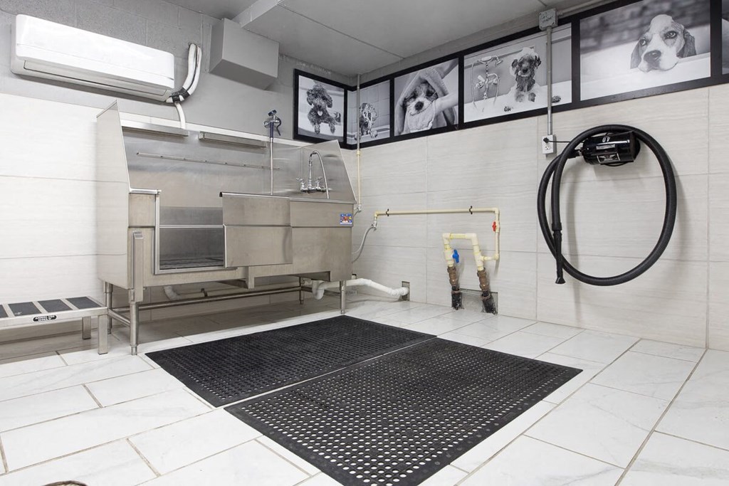 a pet spa grooming station with a sink and a bathtub  at Avant & Avant II, Carmel, IN