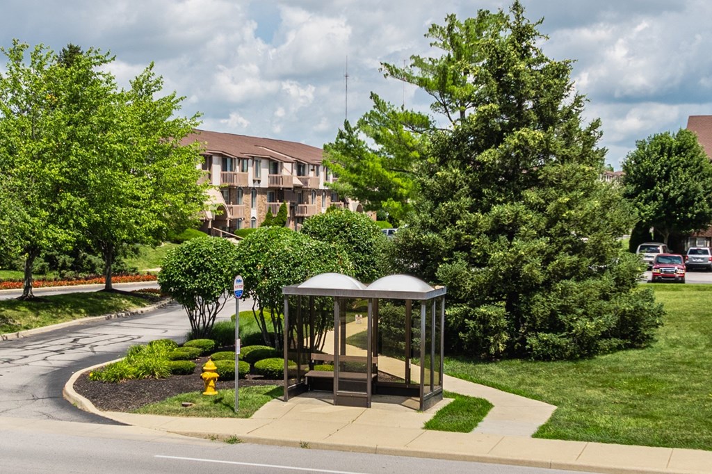 A bus stop with a bench and a yellow fire hydrant in front of a building