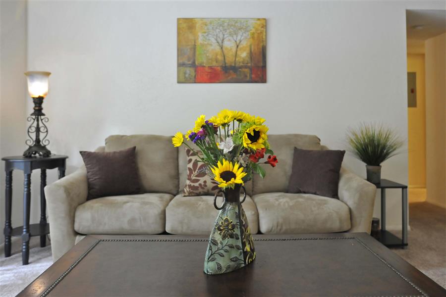Cozy Living Room at Brook Pines, Columbia, South Carolina
