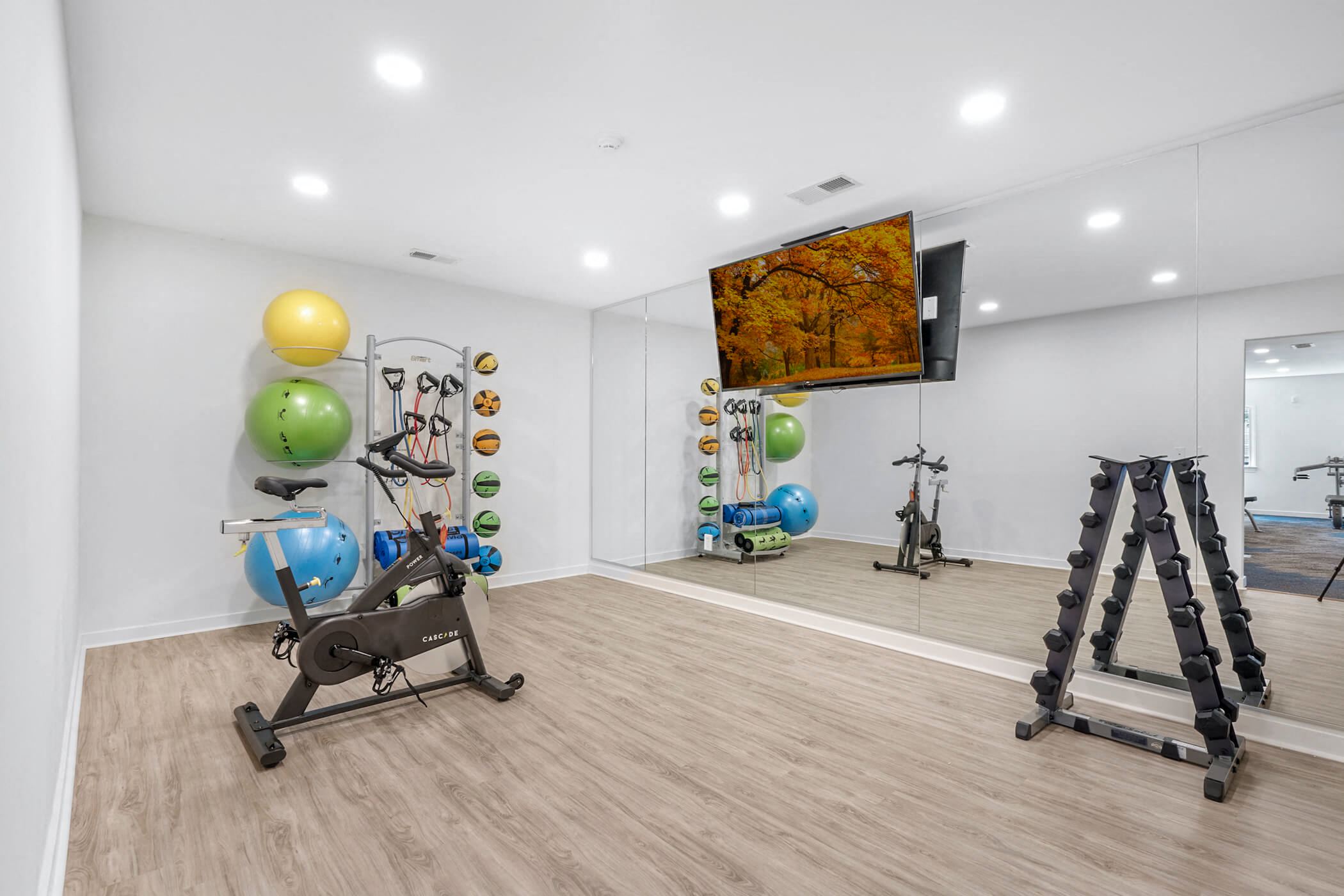 Yoga_Studio_and_TRX at Sunscape Apartments, Virginia, 24018