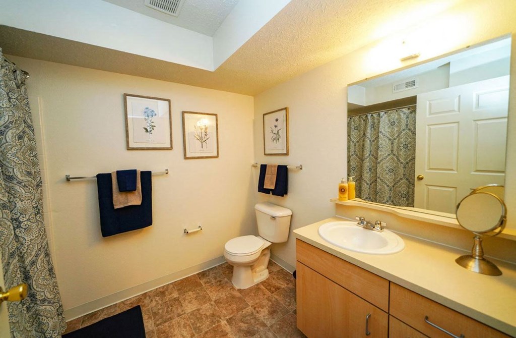 a bathroom with a sink toilet and a mirror at Trillium Pointe Apartment Homes, Michigan, 49201