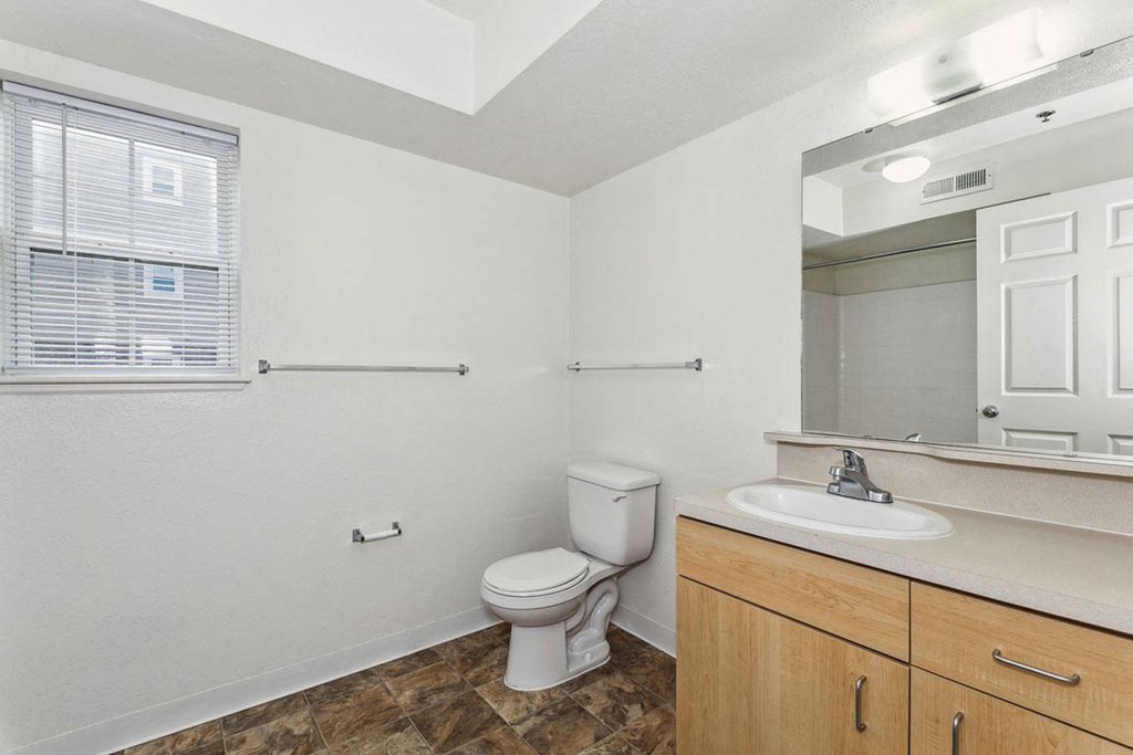 spacious bathroom with a window at Trillium Pointe Apartment Homes, Jackson, Michigan