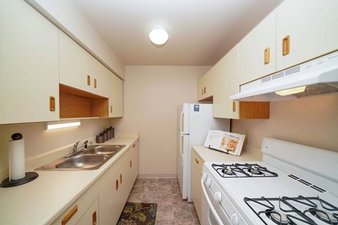 a kitchen with a stove and refrigerator and a sink