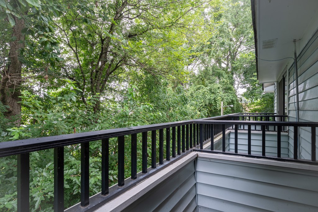 A balcony with a black railing overlooks a lush green forest.