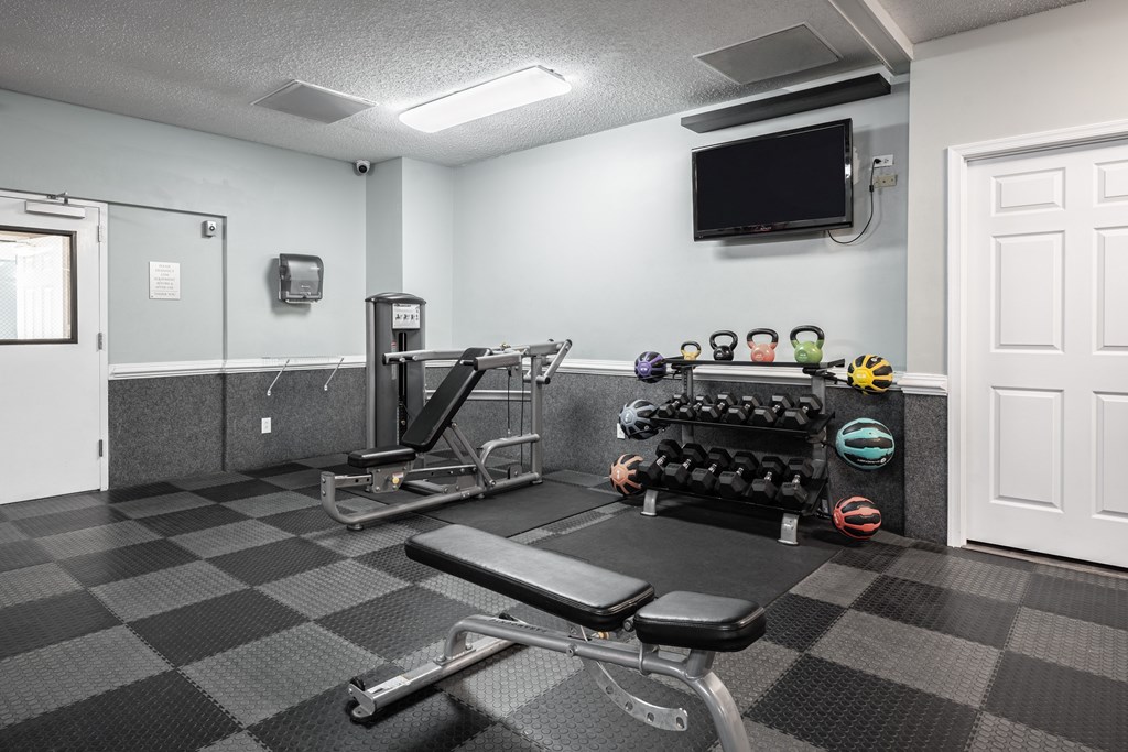 A gym with a bench, weights, and a television.
