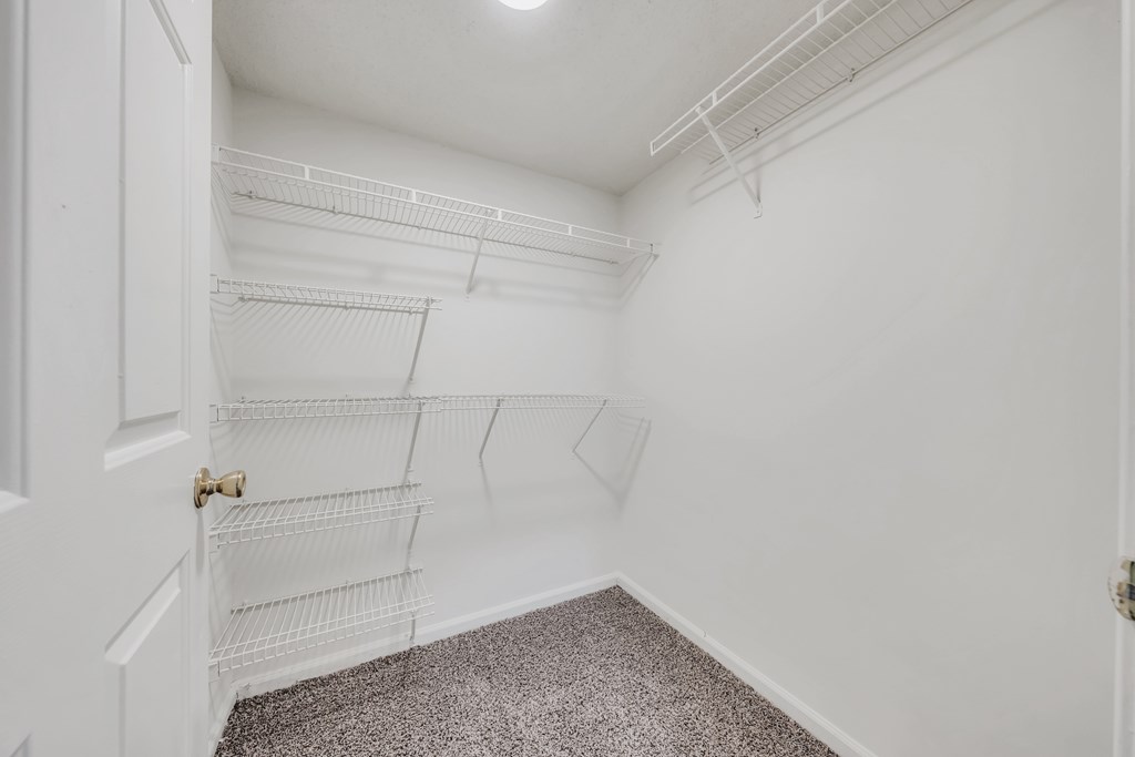A white closet with shelves and a carpeted floor at WaterFront Apartments, Virginia Beach, 23453
