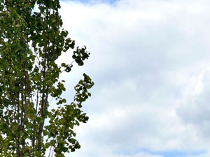 Killian Lakes Apartments And Townhomes, 1800 Killian Lakes Drive