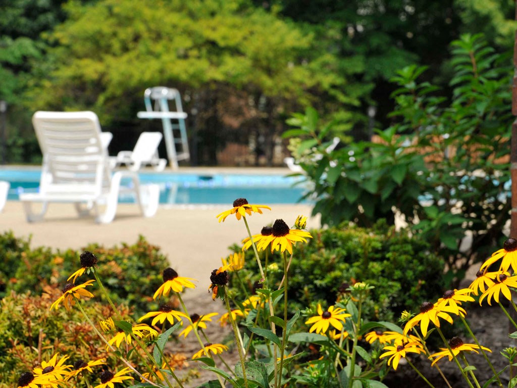 Scenic Outdoor Swimming Pool at Eastgate Woods Apartments, Batavia, OH