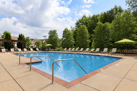 A large outdoor swimming pool surrounded by trees and lounge chairs.