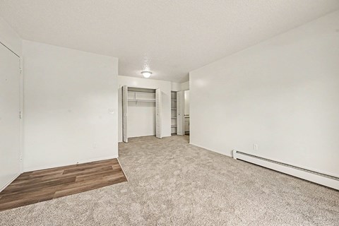 Empty bedroom with walk-in closet and carpet at Brookside Apartments, Michigan