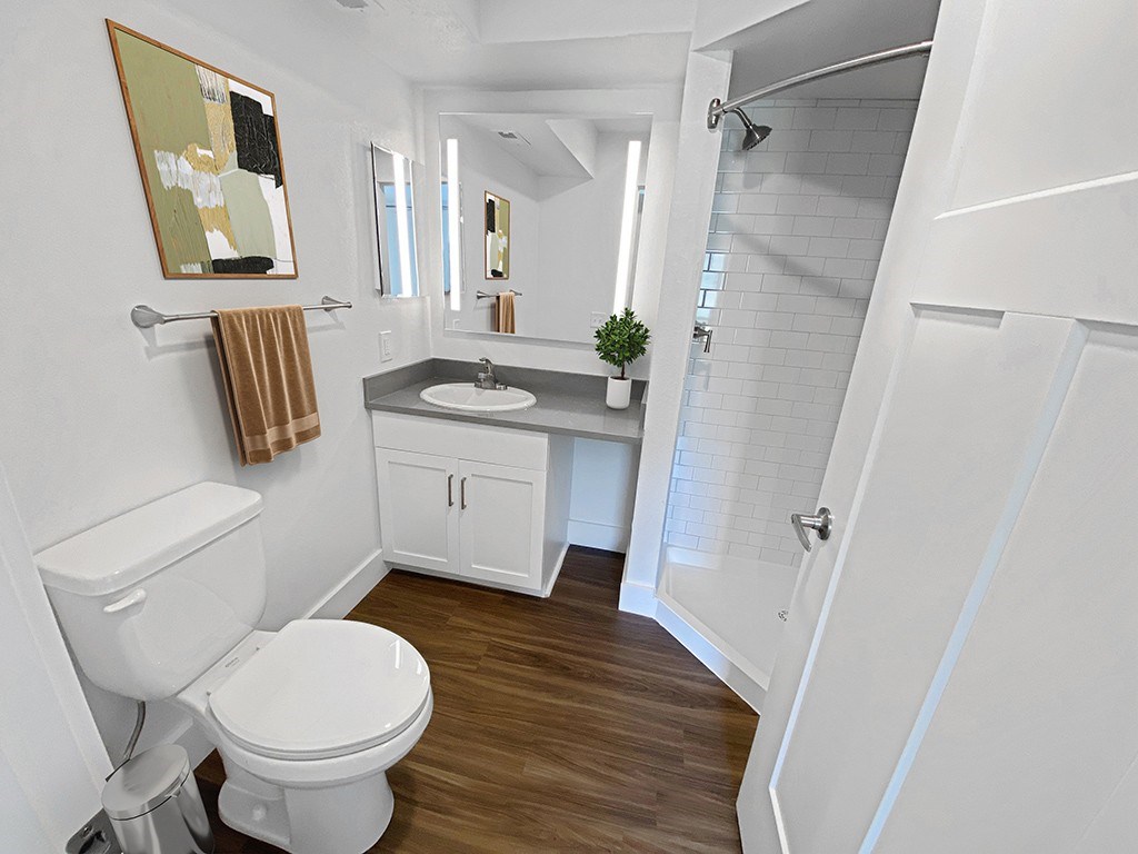 A second bathroom with a toilet, sink, and mirror at Byron Lakes Apartments, Michigan, 49315