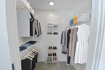 Walk-In Closets with Organizers at Byron Lakes Apartments in Byron Center, MI
