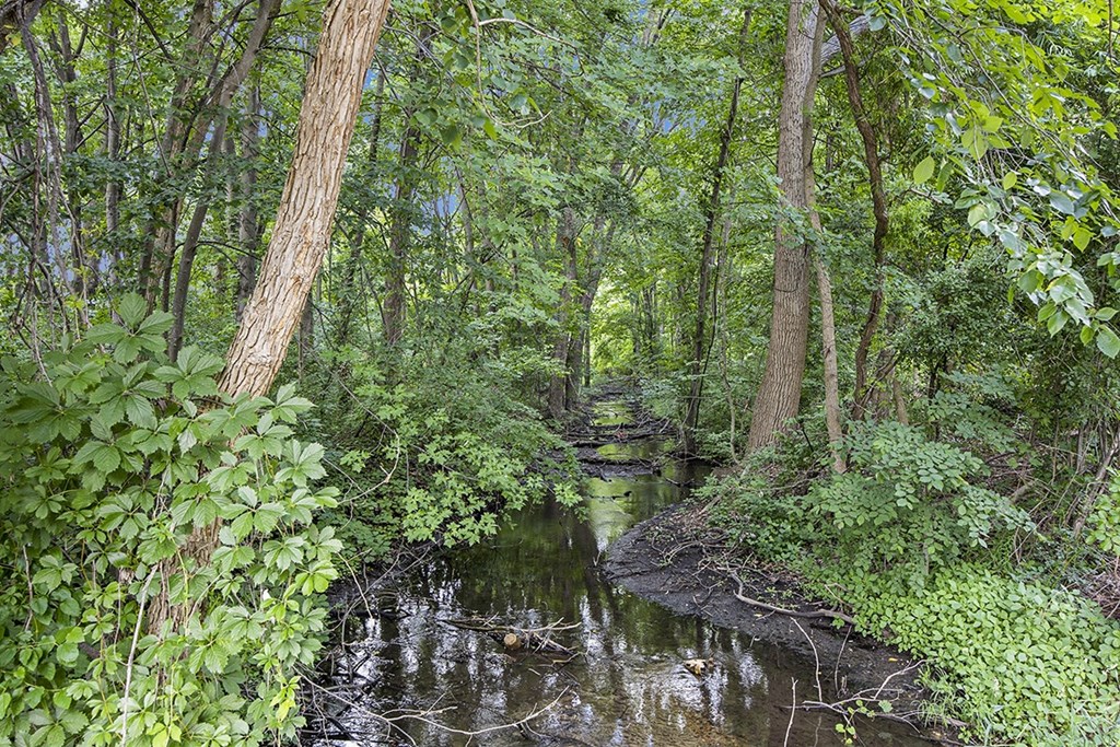 A small stream flows through a lush green area at Byron Lakes Apartments, Byron Center, Michigan