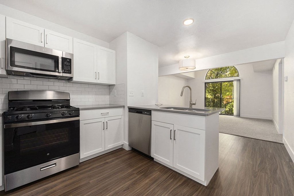 renovated kitchen with a wooded view at Byron Lakes Apartments, Byron Center