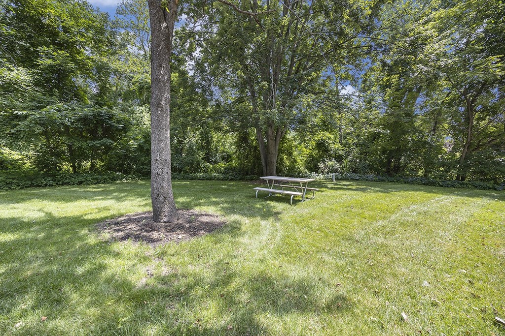 Beautiful grounds with mature shade trees with a picnic table at Byron Lakes Apartments, Byron Center, Michigan
