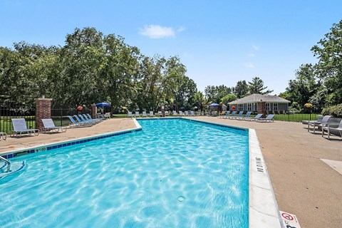 A large swimming pool surrounded by trees and lounge chairs.