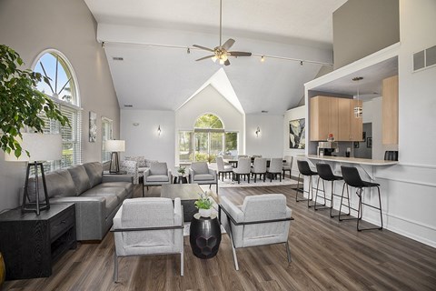 A living room with a grey sofa and a grey armchair.