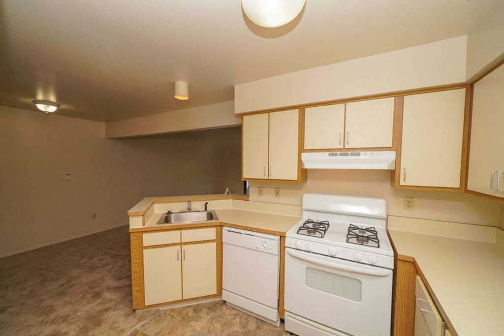 Kitchen with Dishwasher and Gas Range at Canal Club Apartments in Lansing, MI