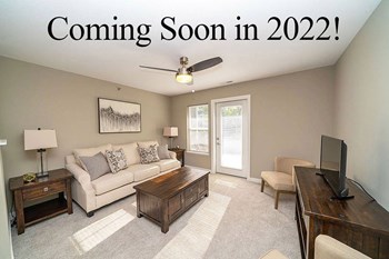 Modern Living Room Property Image