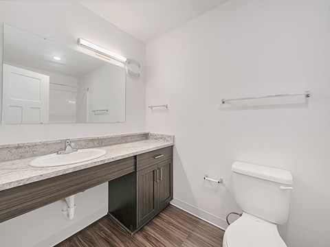 Functional Master Bathroom with Lots of Counter Space at Chase Creek Apartment Homes, Huntsville, AL, 35811
