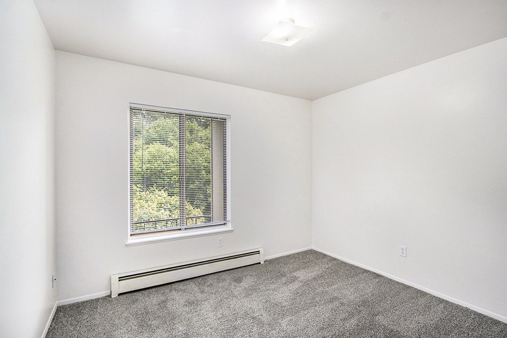 A room with a window and a radiator on the wall