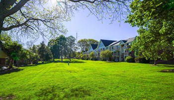 Lush Green Outdoor Spaces Lush Green Outdoor Spaces at Concord Place Apartments, Kalamazoo, Michigan - Photo Gallery 3