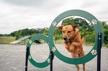 Leash-Free Pet Park at Bay Pointe Apartments, Lafayette, IN