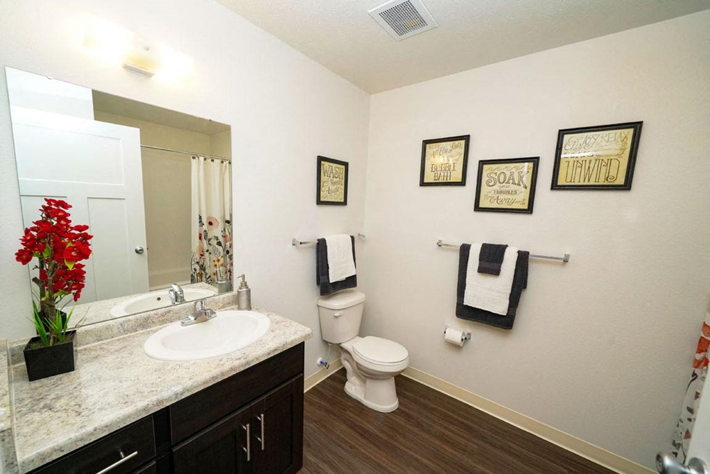 Large, Handicap Accessible Bathroom at Copper Creek Apartment Homes, Maize, KS, 67101