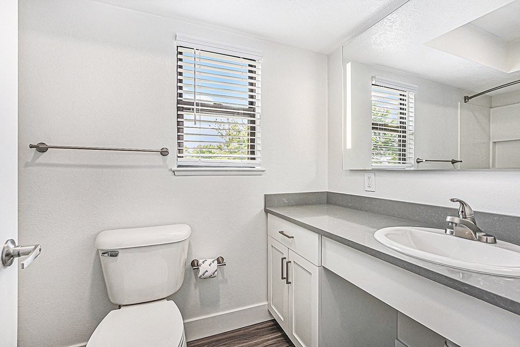 a bathroom with a window at The Crossings Apartments, Michigan, 49508