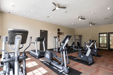 A gym with treadmills, elliptical machines, and a fan.