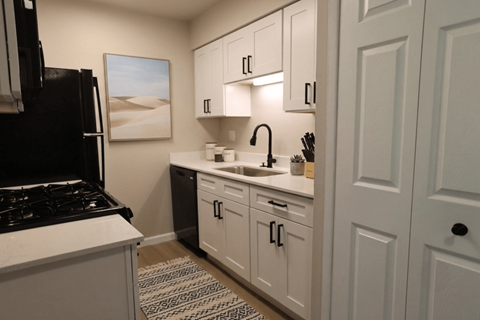 3355 Thornwood Trail Studio-2 Beds Apartment for Rent