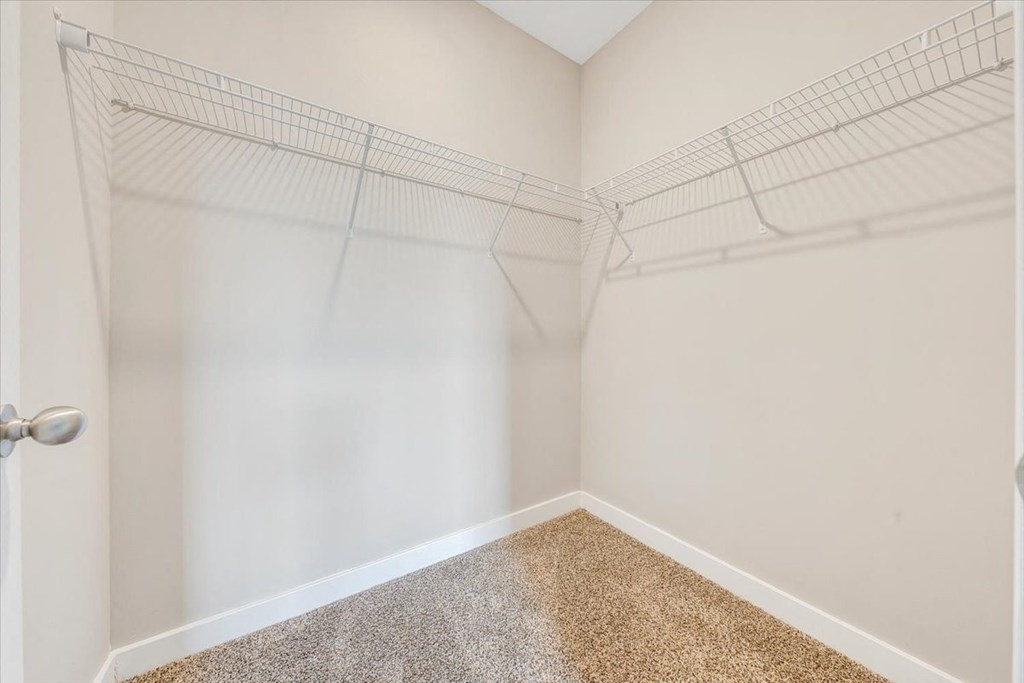 a spacious closet in a bedroom with white walls and carpet