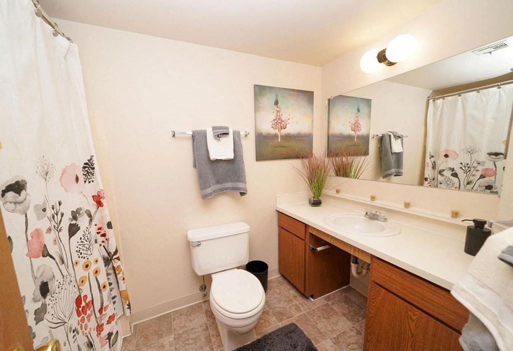 Updated Bathrooms at Emerald Park Apartments, Kalamazoo, 49001