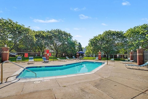 A swimming pool surrounded by trees and a fence.
